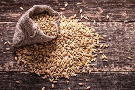 what is malt used for.